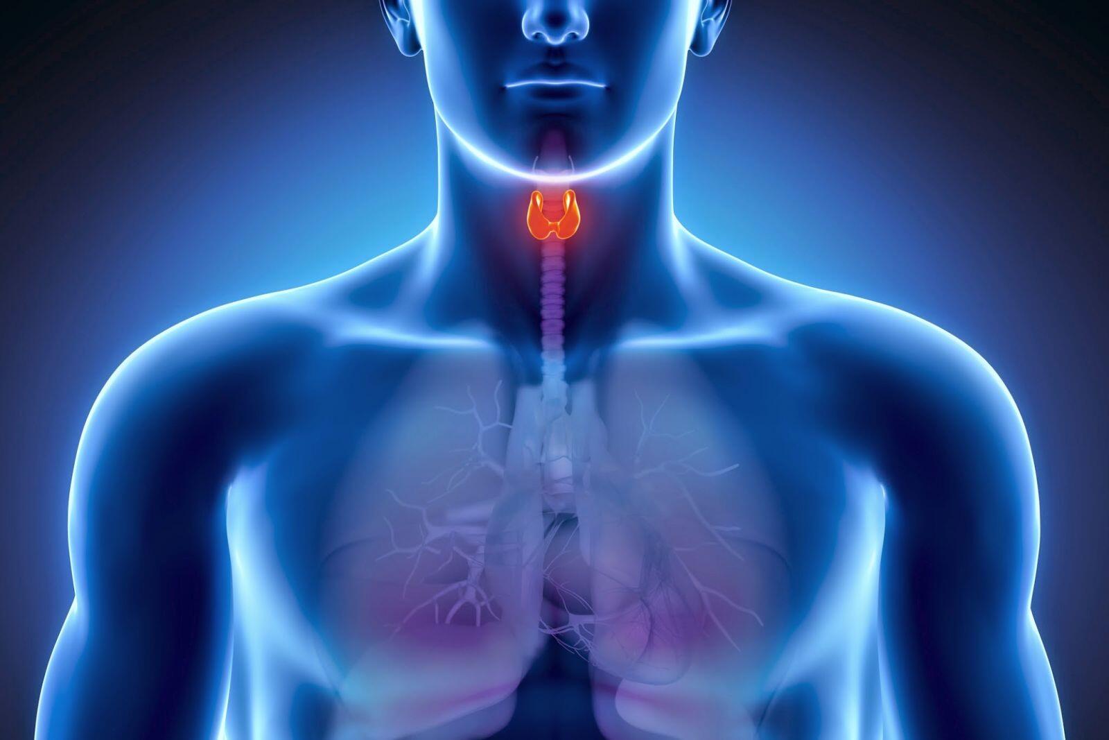 Thyroid Diseases
